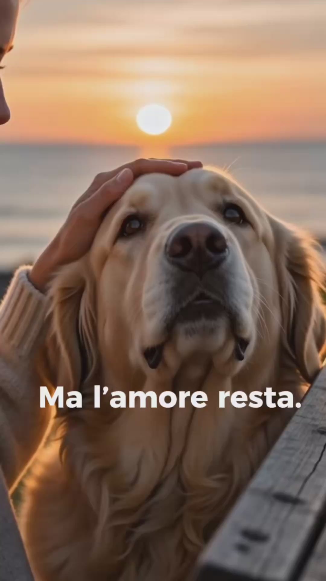 Carica il video: 
